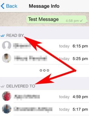 WhatsApp read messages